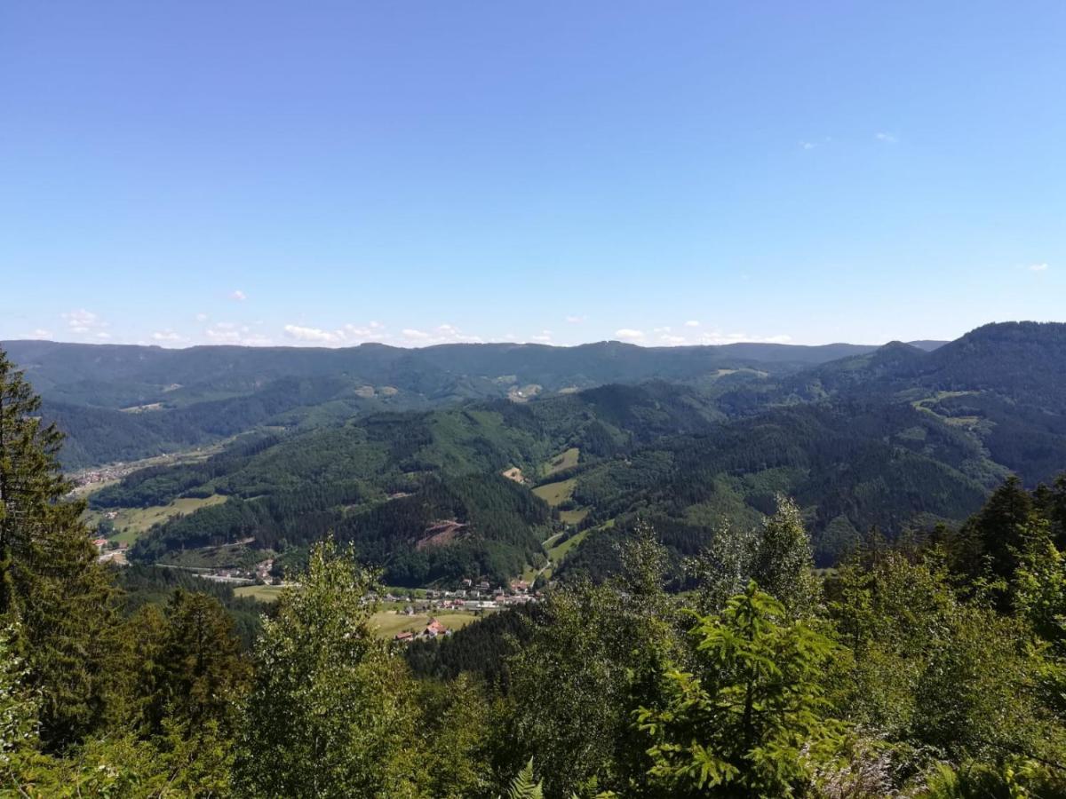 Gaestehaus Gerda Bad Peterstal-Griesbach Bagian luar foto